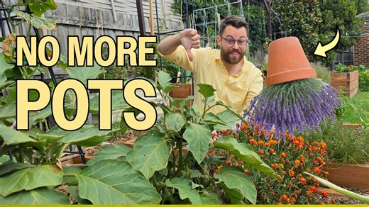 Lazy Gardening Hacks That Save Time and Effort