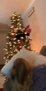 Cat Jumps From Top of Christmas Tree Knocking It Down