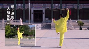 32式太极剑全套背面演练