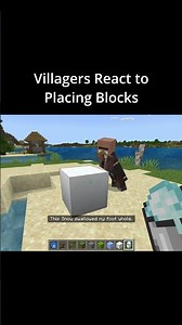 Villager News Add-on for Minecraft Bedrock #minecraft #gaming #games #villagernews #memes