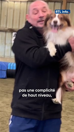 Le championnat du monde d’agility se tiendra en avril prochain en Espagne. Parmi les participants : Benoît, habitant de Boussu (Hainaut), et sa chienne Haby, un mini berger australien. L’agility consiste à franchir, le plus rapidement possible et sans faute, une vingtaine d’obstacles : slalom, haies, tunnels… Pour atteindre le haut niveau, les chiens doivent courir à une vitesse de 5 à 6 mètres par seconde. À plus de 60 ans, il participera à son deuxième championnat du monde. Face aux Canadiens 