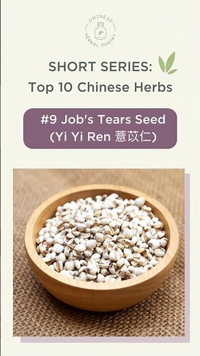 Chinese Barley (Job's Tear）health benefits and how to use it | Chinese Medicinal Herb