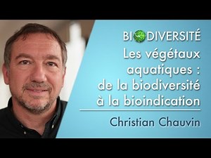 Aquatic plants: from biodiversity to bioindication