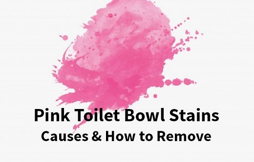 Pink Ring Stains in Toilet Bowl: Causes & How to Get Rid - Toiletseek