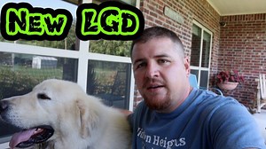 21K views · 1.4K reactions | We introduce our new LGD Great Pyrenees to our goat herd. LGD is super hot so we bought a kiddie pool for him to get in. The new LGD is working out great with the goats and chickens. #lgd #livestockguardiandogs #goatfarm | Hidden Heights Farm | Facebook