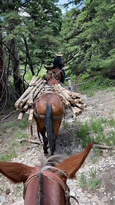 343K views · 27K reactions | Mules are underrated! #cowboy #horse #adventure | Broncs and Donks | Facebook