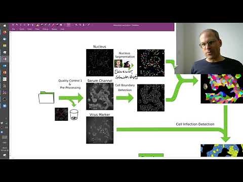Lecture 8.1: Watershed Algorithm | Clinical Application | CVF20