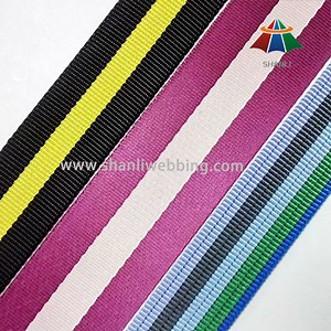 [Hot Item] 100% Nylon Webbing for Luggage Strap and Bags