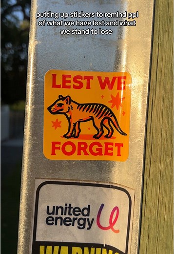 The Tasmanian Tiger: Reflecting on Extinction