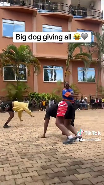 Funny Moments of a Big Dog's Antics