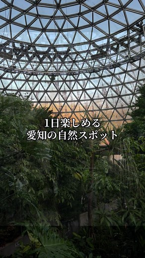 愛知の鞍ヶ池公園で自然を満喫しよう