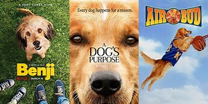 20 Heartwarming Dog Movies That Just Might Make You Cry