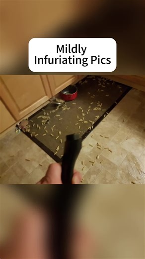 Hilarious Funny Memes That Will Make You Laugh