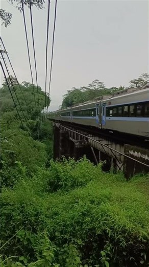 Train Crossing The Bridge #shorts