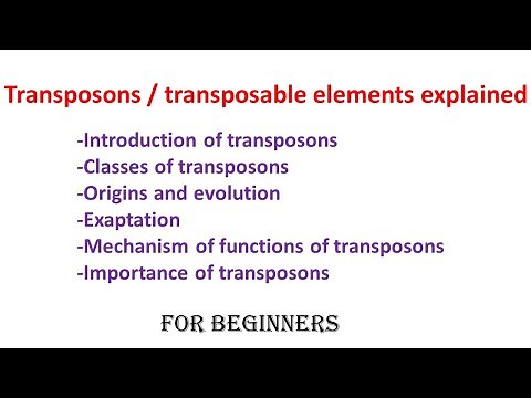 Transposons / Transposable elements explained: | Introduction| Classes | Mechanism of functions |
