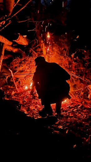 One spark🔥 Birch bark. And a fire that comes alive instantly. Pure bushcraft energy straight from the forest. No lighter. No tricks. Just skill. bushcraft fire, birch bark ignition, ferro rod spark, survival skills reel, wilderness firestarting, primitive firecraft, forest bushcraft, outdoor survival demo, one spark fire, natural tinder ignition #bushcraft #survival #outdoors #campfire #wilderness #bushcraftskills #firestarting #ferroRod #birchbark #primitiveskills #outdoorskills #forestlife #w