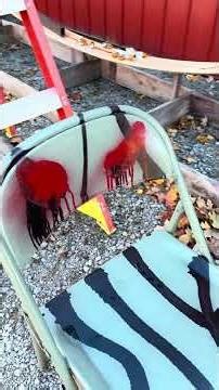 Update on the backyard roller coastal mean kashine #meankashine #backyardrollercoaster #backyard ￼