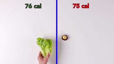 Comparing & contrasting food calories