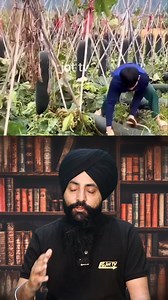 608K views · 10K reactions | Giant Fruits of the World: You Won't Believe Their Size! 勞#BiggestFruits #FruitLovers #NatureWonder | Jot Tv Media | Facebook