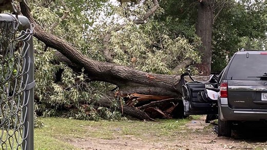 Raw video: Tree kills mother of 4 in Houston's East End