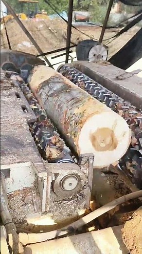 Automatic Log Debarking: Preparing Timber for the Sawmill