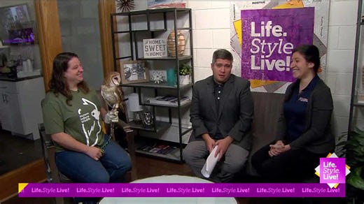 How to keep local wildlife safe