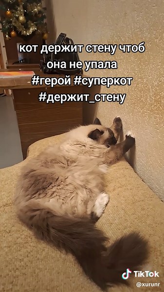 катя кислова (@xurunr)’s videos with In the End - Linkin Park