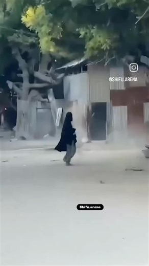 Understanding Creator Search Insights for Content Success