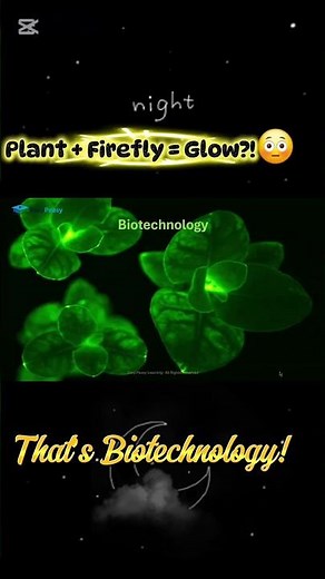 Glow-in-the-Dark Plants?! 🌱✨ | Biotechnology Explained