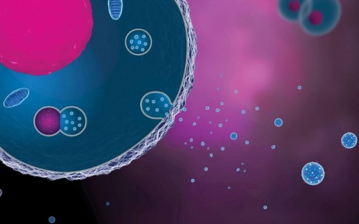 Exosome Therapy: Does It Work and Is It Safe?