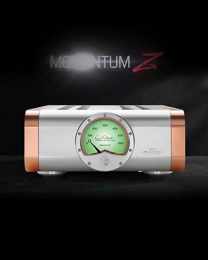 Dan D’Agostino Momentum Z Monoblock Amplifier
