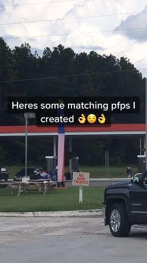 Matching Cat Profile Pictures for a Spring Vibe