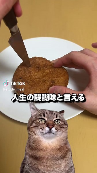 セブンイレブンのカレーパンアレンジ法