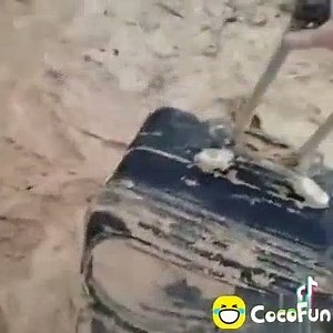 110K views · 4 comments | CocoFun_Indonesia_Official on Reels | Facebook