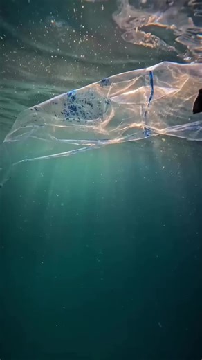 Exploring Underwater Plastic Litter: A Sea of Change