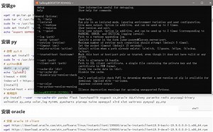 2.安装go-py(WSL2 docker go py vscode 开发环境搭建)