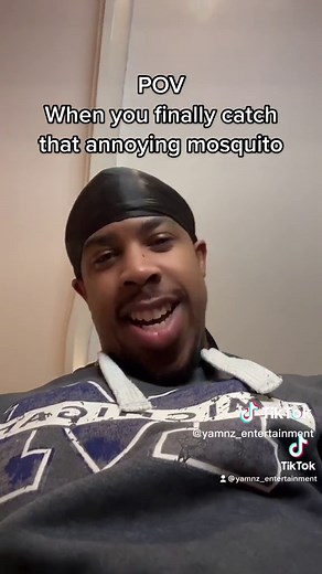 POV you finally catch the bug , fly mosquito #mosquito #annoying #fyp | When You Finally Catch That Mosquito