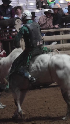 New Mexico cowboy Travis Wimberley with an 85 point ride in the Saturday matinee perf ‌ PBR at the @Cowtown Coliseum ‌ #bullriding #rodeo #bullrider #buckingbulls