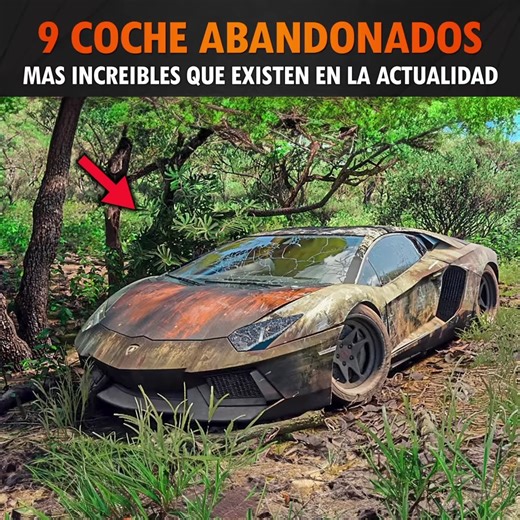 130K views · 3.4K reactions | 9 Coches abandonados más Increíbles que Existen en la Actualidad | ¿Qué fue de? | Facebook