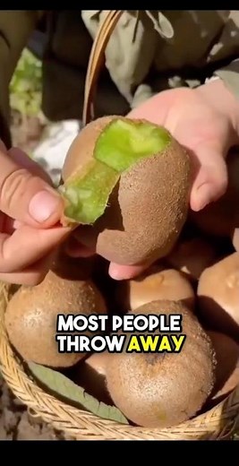 Why You Should Never Peel a Kiwi Again #Kiwi #HealthyEating #Nutrition #Fiber #Shorts #HealthFacts