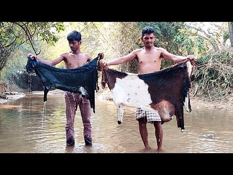 Goat Skin Curry Recipe | Cooking 2 Big Mutton Skin | How To Cook Goat Skin | Lamb Skin Gravy Cooking