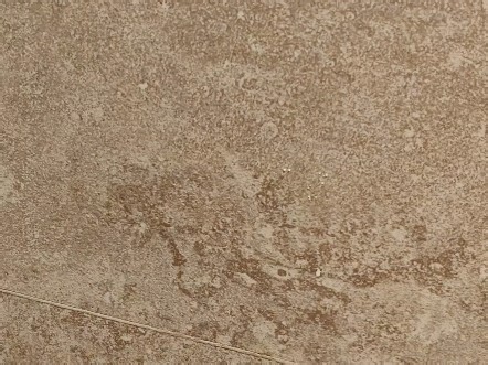 克里米亚半岛 一眼像