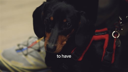 Little Wilma has an invisible problem that could have catastrophic consequences if left untreated. She is affected by a developmental condition associated with lack of proper ligament formation between the first two cervical vertebrae in her neck, and in order to treat it, Wilmers will have a unique implant designed by me and the engineering team at FitzBionics to get her back on track. Her story is on SupervetER this week, only on YouTube x https://www.youtube.com/@professornoelfitzpatrick | Pr