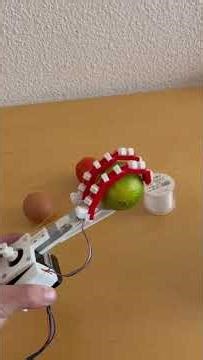 3D-Printed Hybrid Soft Robotic Gripper for Delicate Object Manipulation-1