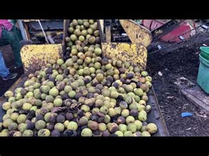 Hammon’s Walnut Production Jeffersonville, Kentucky