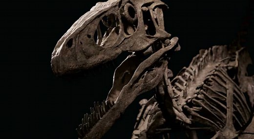 Most complete skeleton of Deinonychus, species that inspired Jurassic Park’s velociraptor, to go on sale