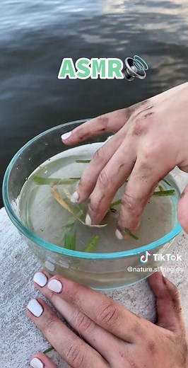 Creating Gulf of Mexico Slime: DIY Inspiration