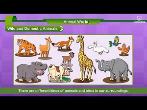 Animal World | EVS Grade 1 | New Spark | Periwinkle