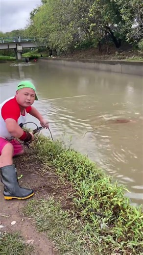 Lover Net Fishing with many fishes