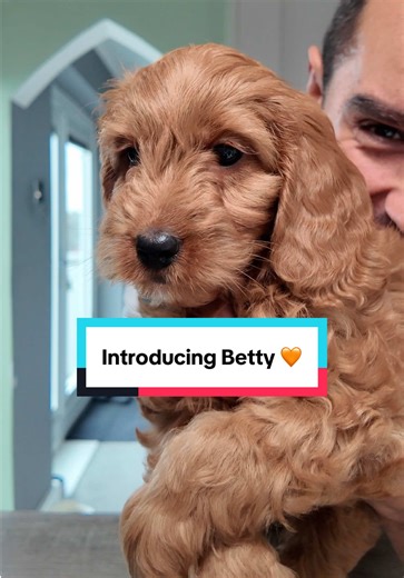Meet Betty: Our Adorable New Family Member!